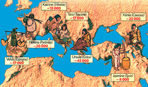 The 7 daughters of eve