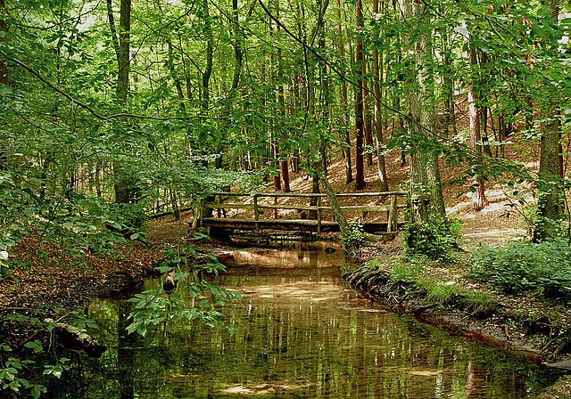 Hasselbach Bridge