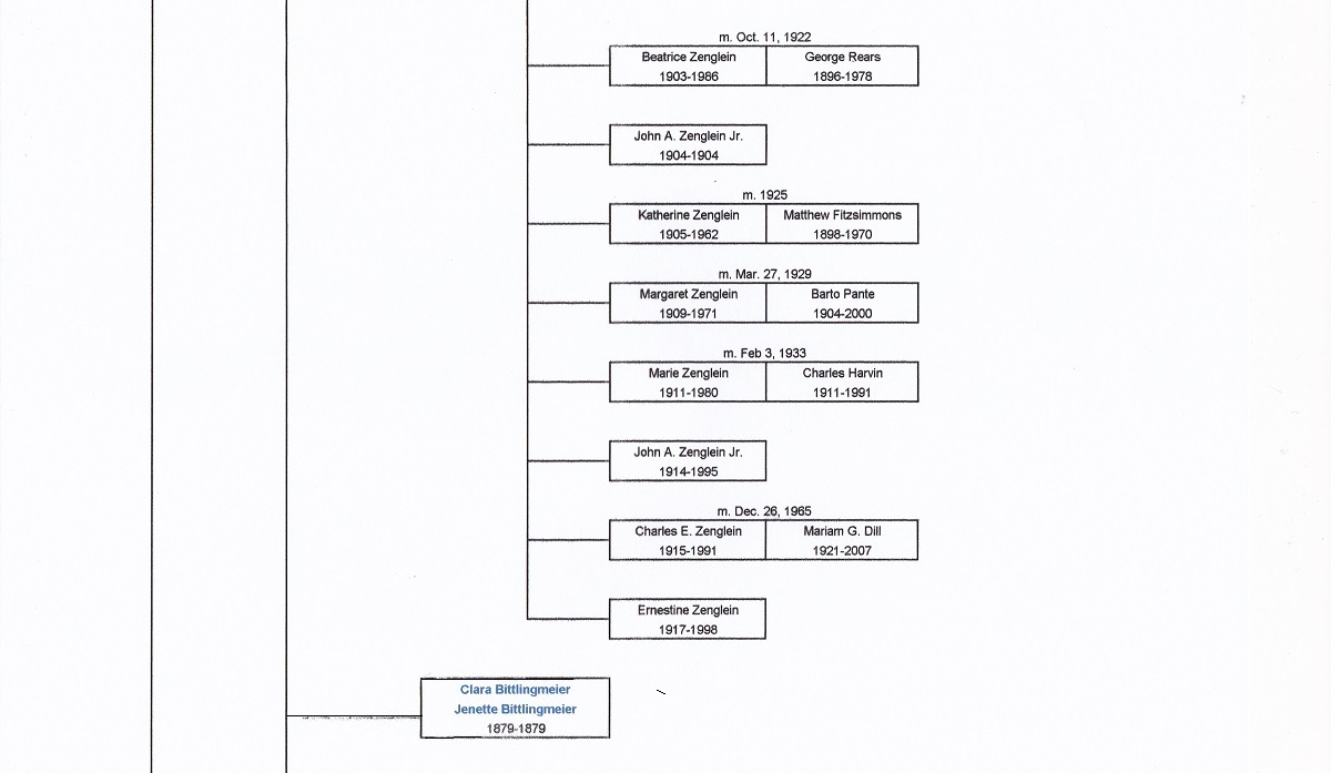 Bittlingmeier Ancestral Chart 2