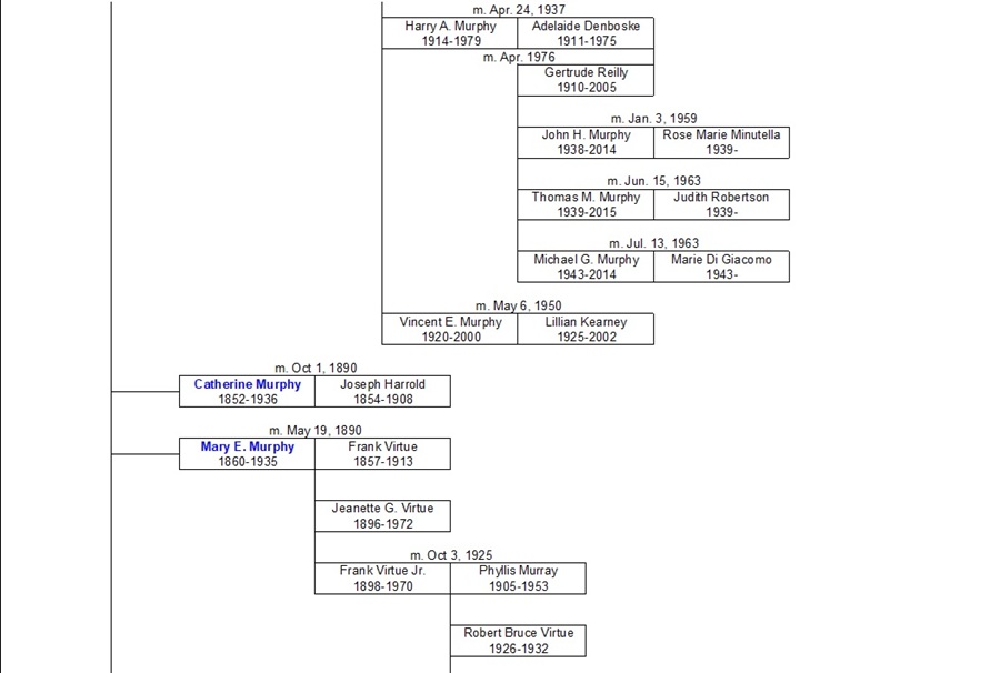Murphy Ancestral Chart 3