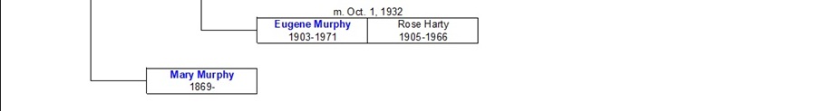 Murphy Ancestral Chart 5