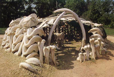 Xenia's hut