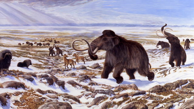 Tundra